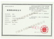 紫遂 植物新品种权证书